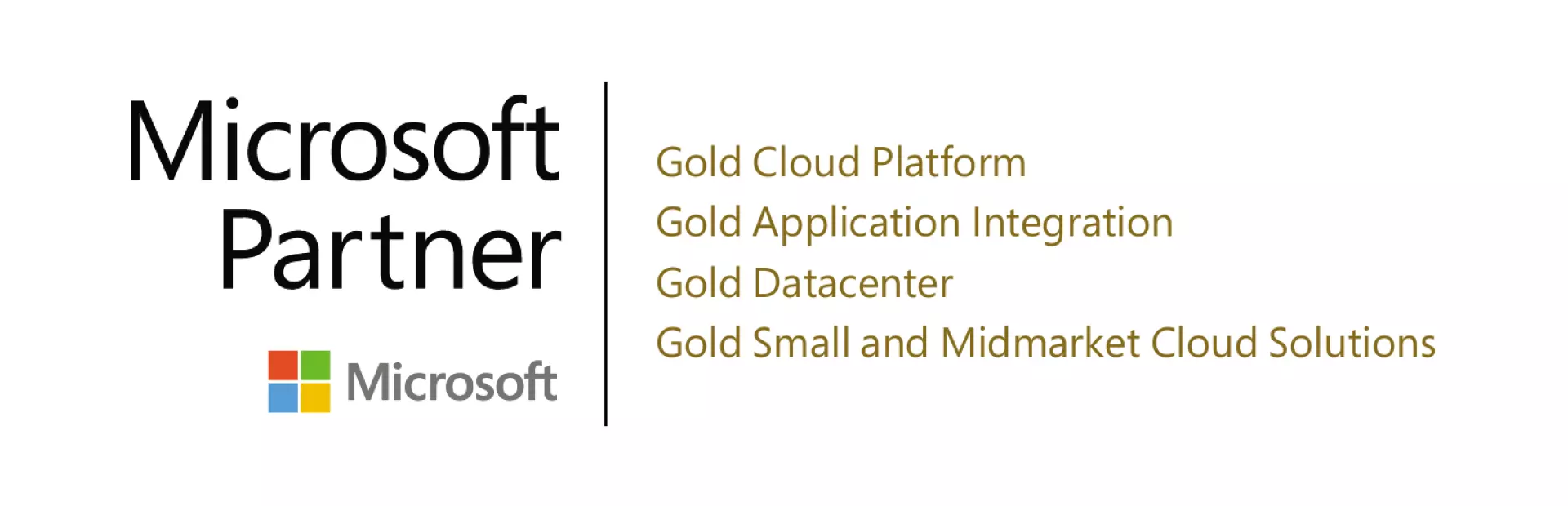Microsoft Gold Partner and Competencies 2021-22